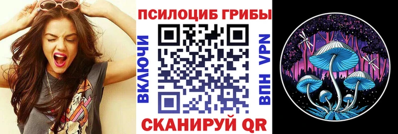 Псилоцибиновые грибы ЛСД  ОМГ ОМГ маркетплейс  Спасск 